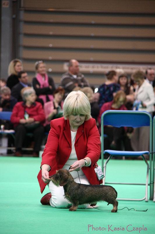 Crufts2011_2 1436.jpg